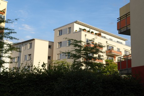 ehrenfeld