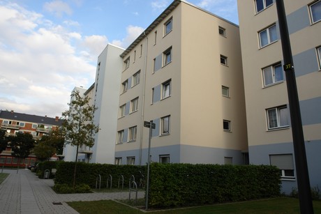 ehrenfeld