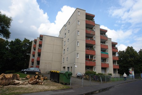 ehrenfeld