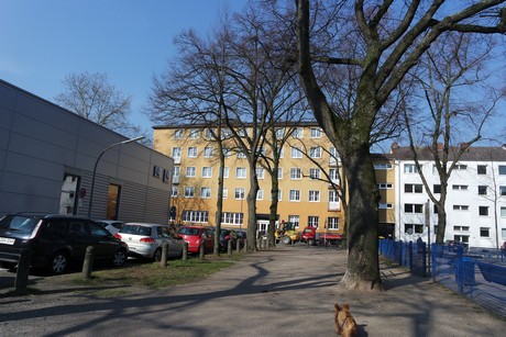 ehrenfeld