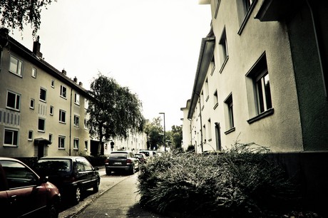 ehrenfeld