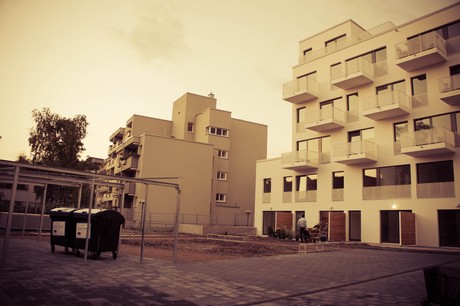 ehrenfeld