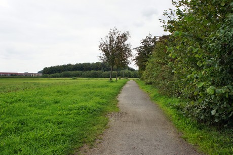 fuehlingen