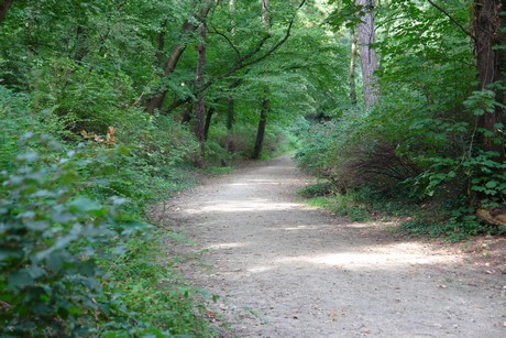 klettenbergpark