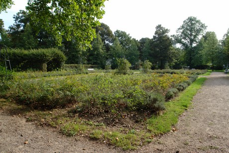 klettenbergpark