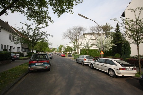 lindenthal