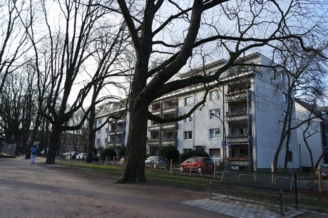 lindenthal