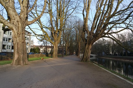 lindenthal