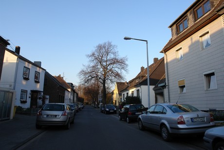 loevenich