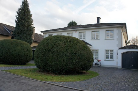 muengersdorf