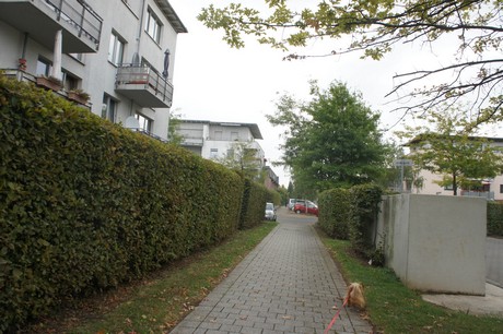 ossendorf
