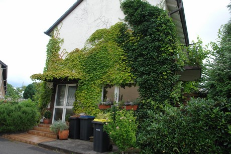 milchmaedchensiedlung