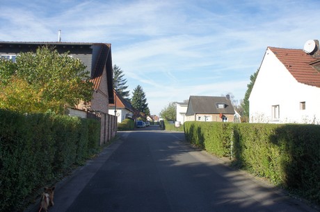 vogelsang
