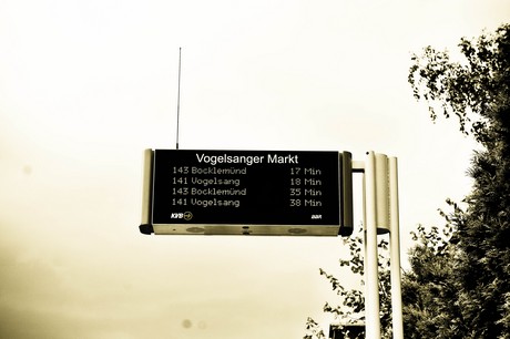 vogelsang