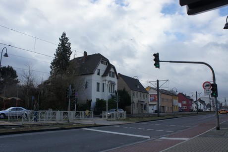 weiden