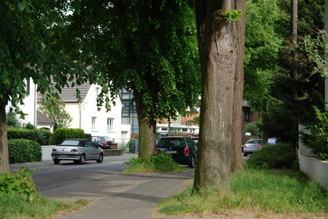 weiden