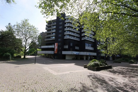 weiden