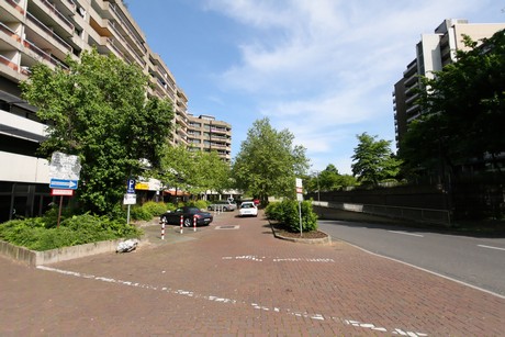 weiden