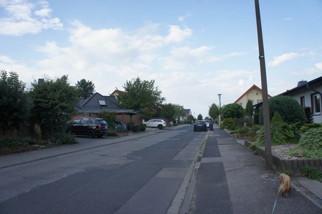widdersdorf