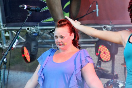csd