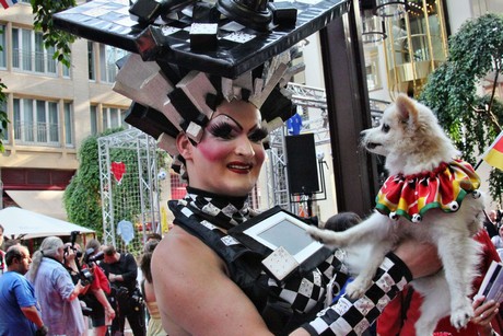 csd