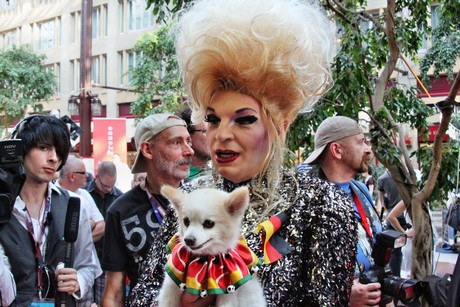 csd