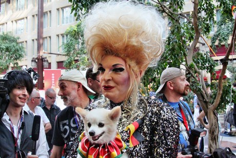 csd
