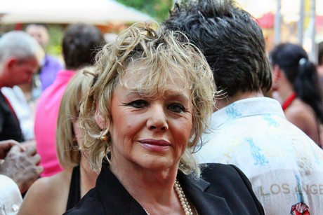 csd