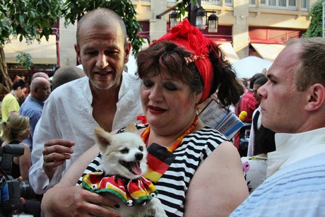 csd