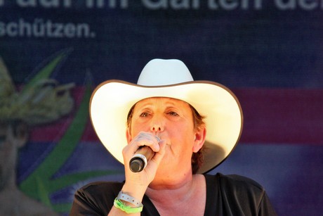 csd