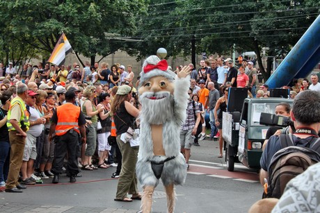 csd