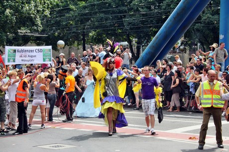 csd