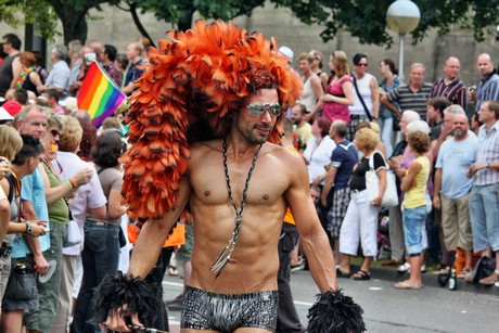csd