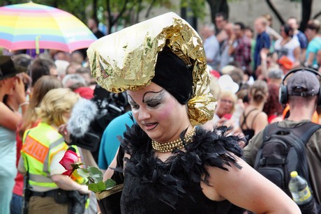 csd