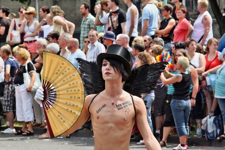 csd