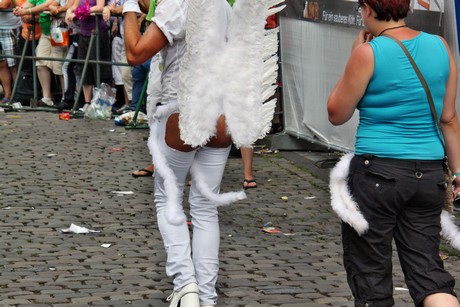 csd
