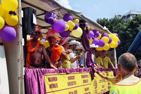 csd