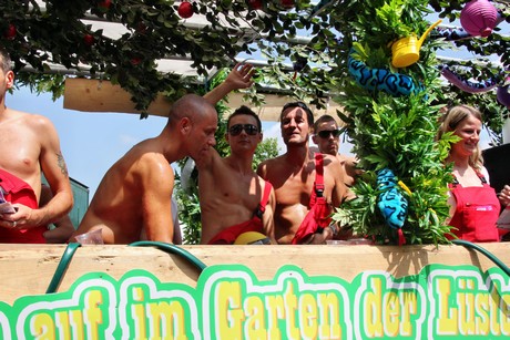 csd