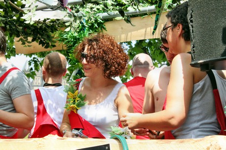 csd
