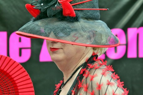 csd