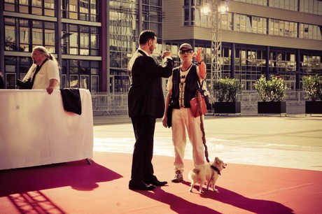 deutscher-fernsehpreis