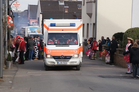 karnevalszug