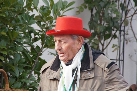 karnevalszug