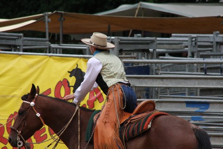 rodeo