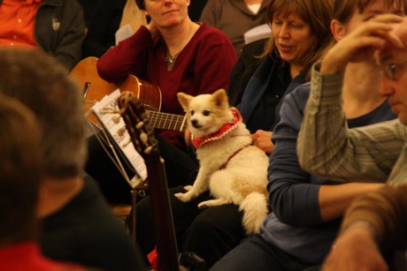 offener-gitarren-workshop