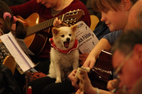 offener-gitarren-workshop