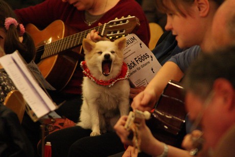 offener-gitarren-workshop