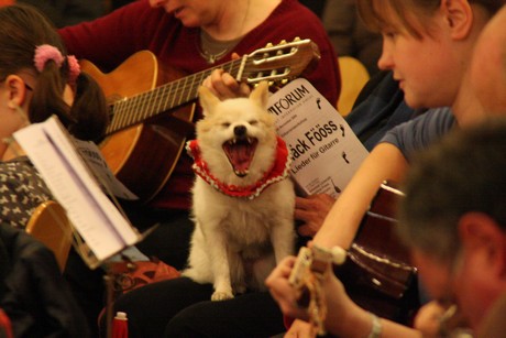 offener-gitarren-workshop