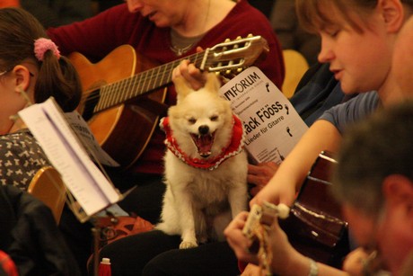 offener-gitarren-workshop