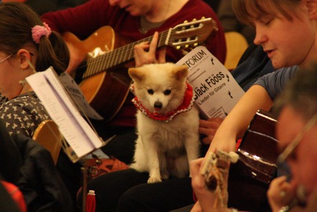 offener-gitarren-workshop